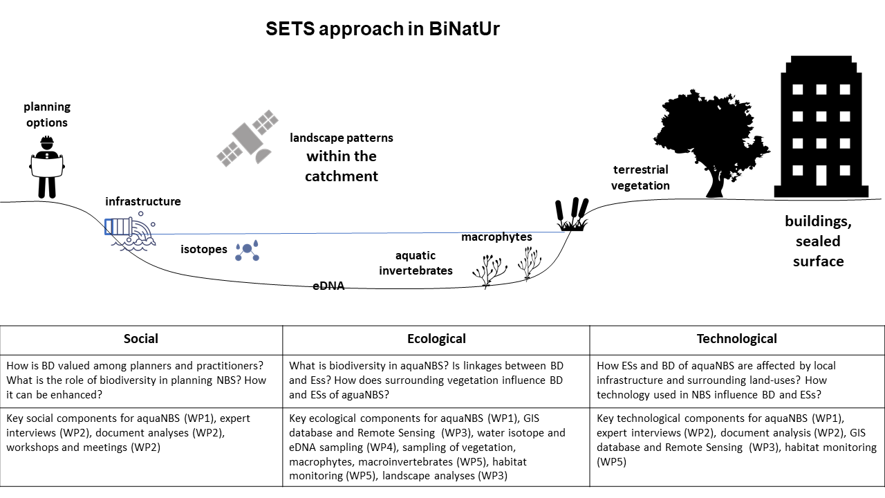 Binatur_SET_frame_eng